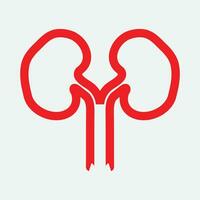 Kidney icon vector. vector