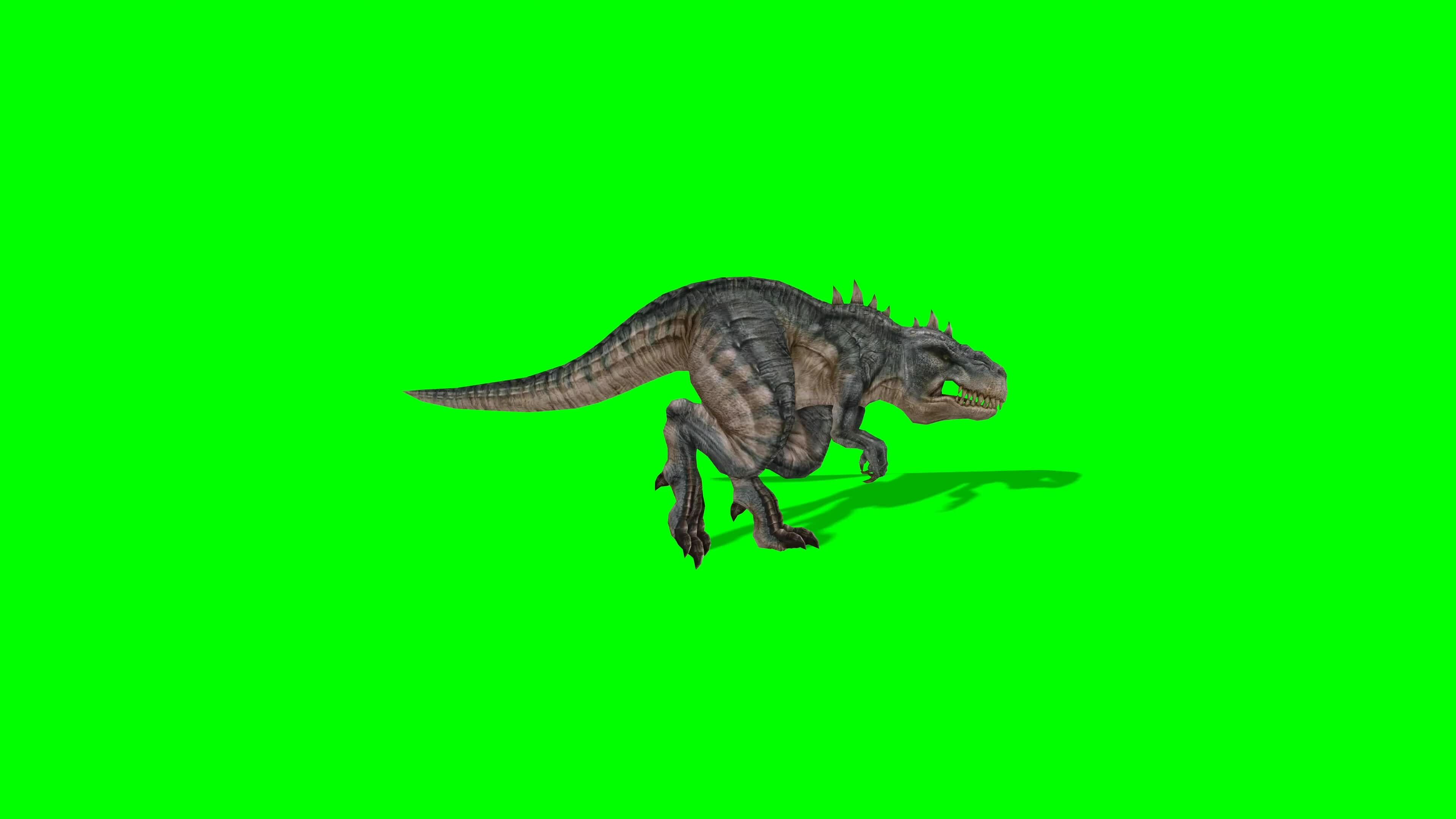 Keying Three Dinosaurs Running Animation Video Video MP4 Template