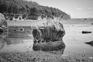 Single rock in the sea with grass in black and white. The rock lies in water photo