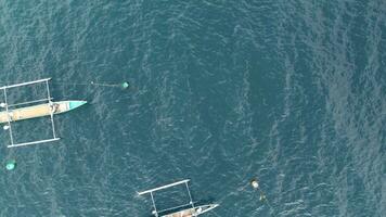 antenne visie van rijen van visvangst boten in de zee video