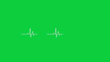 Heartbeat pulse rate diagram animation isolated on green screen background video