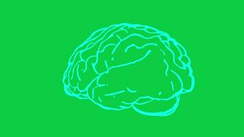 cerebro giratorio 3d animación médico Ciencias experimentar lazo animado vídeo aislado en verde pantalla antecedentes video