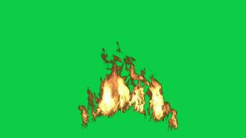 Animated realistic scattered fire flame flare burning 4k animation isolated on green screen background video