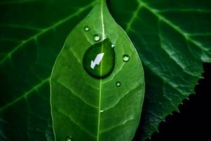 Green leaf with water droplet. Ecological concept. AI generated illustration. photo