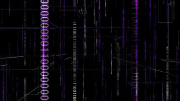 Purple color digital matrix background with and binary codes video