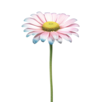 AI Generative watercolor daisy flower pastel isolation on transparent background png