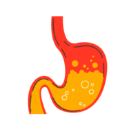 Cartoon Stomach  Generative Ai png