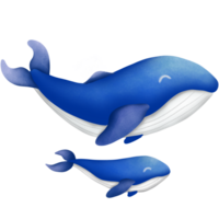 das Blau Wal png