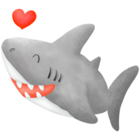 de schattig haai png