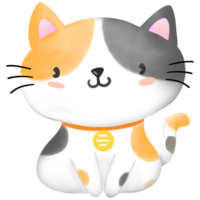 A white grey and orange cat png