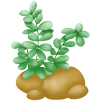 Green tree with brown stone png