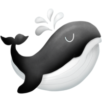 el negro ballena png