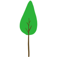 une vert arbre png