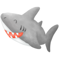 le mignonne requin png