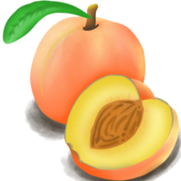 le fruit de la pêche png