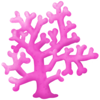rosado coral submarino png