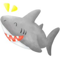 il carino squalo png
