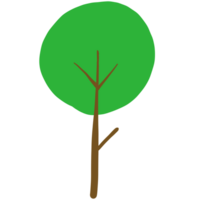 une vert arbre png