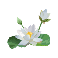 nelumbo nucifera generativ ai png