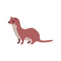 Weasel Ermine Sable  Generative Ai png