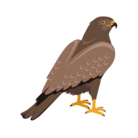 calvo águila pájaro de presa dorado águila generativo ai png