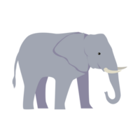 asiatique l'éléphant génératif ai png