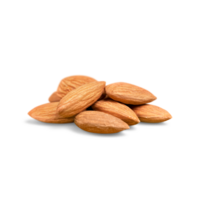 Almond Pngtree Generative Ai png