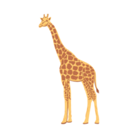 Northern giraffe Generative Ai png