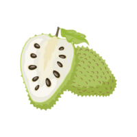 Soursop Clipart Generative Ai png