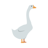 Domestic goose Generative Ai png