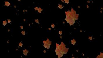 Let our slow motion animation transport you to a serene autumn landscape where leaves dance in graceful descent. video