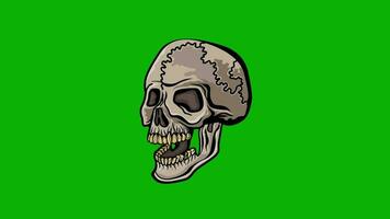 Gothic sign with animated skull with chroma key video