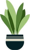 houseplant drawing illustration png