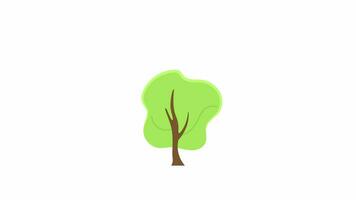 Lonely tree blowing in wind 2D object animation. Nature summer season flat cartoon 4K video, transparent alpha channel. Garden springtime. Windswept tree blooming animated icon on white background video