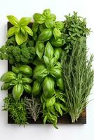 A frame of Mediterranean herbs including basil thyme oregano rosemary sage and pepper isolated on white PNG format photo