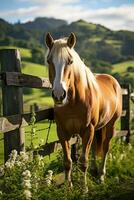 A saddled horse tethered to a wooden fence in a lush green field photo