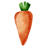 zanahorias son usado como un ingrediente en papaya ensalada png