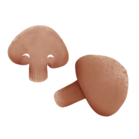 Pilz sind gut zum Gesundheit png