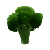 broccoli roerbak is heel heerlijk png