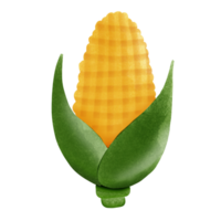 Corn used to make popcorn png