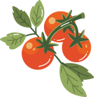 mano disegnato pomodori con ramoscelli nel piatto stile png