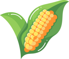 Hand Drawn Pod corn in flat style png