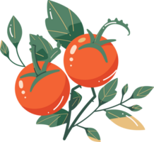 mano dibujado Tomates con leña menuda en plano estilo png