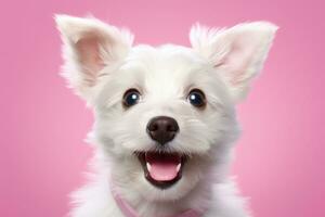 cute dog on pink background, AI Generated photo