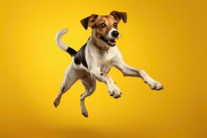 cute dog on yellow background, AI Generated photo