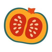 mano dibujado calabaza con semillas aislado en blanco antecedentes. otoño, caer, acción de gracias y Víspera de Todos los Santos decoración. vector