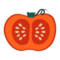 mano dibujado calabaza con semillas aislado en blanco antecedentes. otoño, caer, acción de gracias y Víspera de Todos los Santos decoración. vector