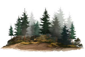 watercolor of small fir forest, group of tree landscape isolated. Generative AI png