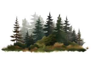 watercolor of small fir forest, group of tree landscape isolated. Generative AI png