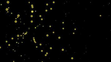 Gelb Partikel Element von Sechseck Star platzen bewirken Weiß Star schwebend auf das schwarz Bildschirm video